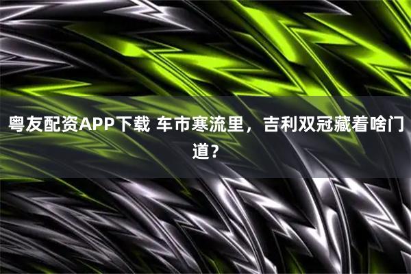 粤友配资APP下载 车市寒流里，吉利双冠藏着啥门道？