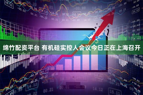 绵竹配资平台 有机硅实控人会议今日正在上海召开