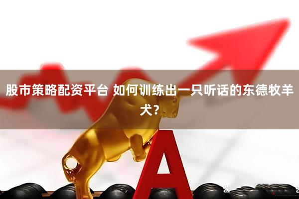 股市策略配资平台 如何训练出一只听话的东德牧羊犬？